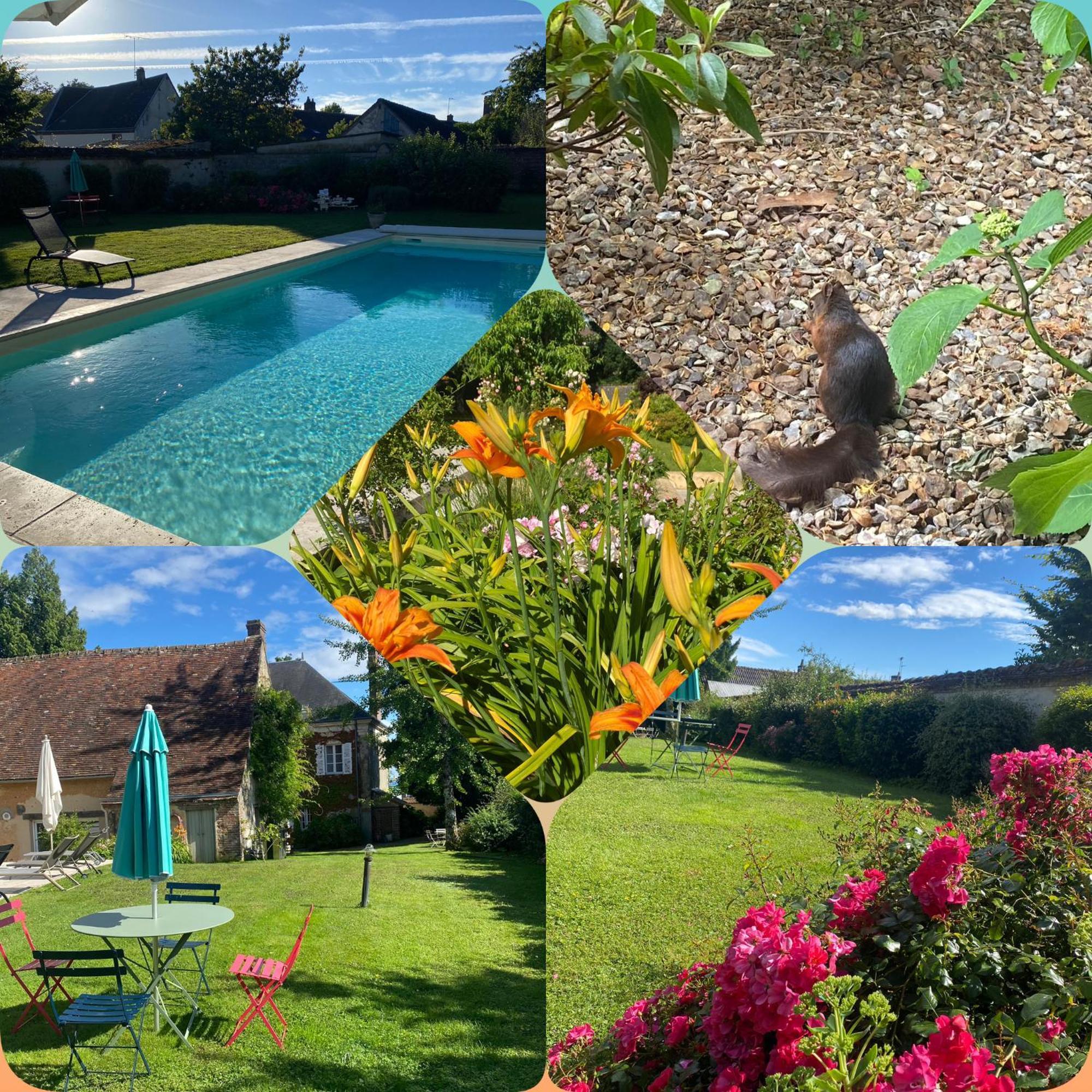 Les Couleurs Du Verger Beaumont-les-Autels Экстерьер фото