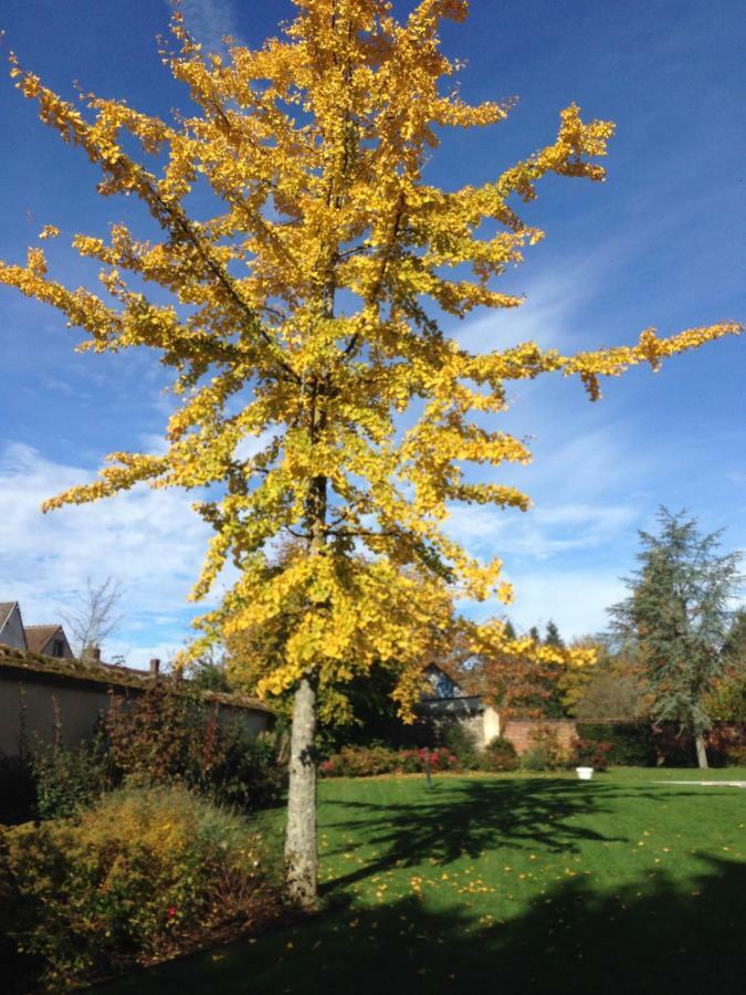 Les Couleurs Du Verger Beaumont-les-Autels Экстерьер фото