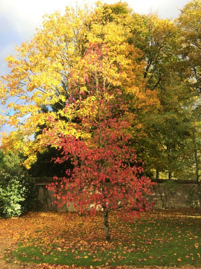 Les Couleurs Du Verger Beaumont-les-Autels Экстерьер фото